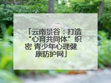 云南景谷：打造“心育共同体”织密 青少年心理健康防护网