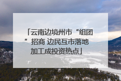 云南边境州市“组团”招商 边民互市落地加工成投资热点