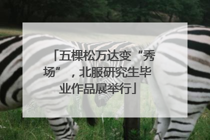 五棵松万达变“秀场”，北服研究生毕业作品展举行