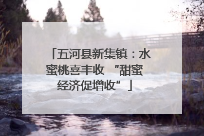 五河县新集镇：水蜜桃喜丰收 “甜蜜经济促增收”