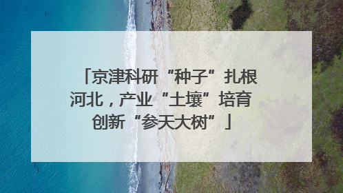 京津科研“种子”扎根河北，产业“土壤”培育创新“参天大树”