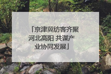 京津冀纺客齐聚河北高阳 共谋产业协同发展