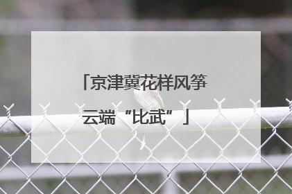 京津冀花样风筝云端“比武”