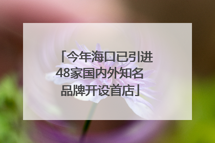 今年海口已引进48家国内外知名品牌开设首店