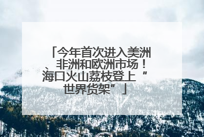 今年首次进入美洲、非洲和欧洲市场！海口火山荔枝登上“世界货架”