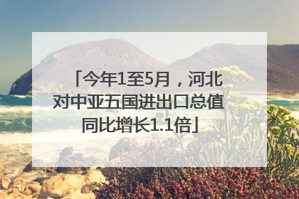 今年1至5月，河北对中亚五国进出口总值同比增长1.1倍