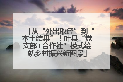 从“外出取经”到“本土结果”！叶县“党支部+合作社”模式绘就乡村振兴新图景