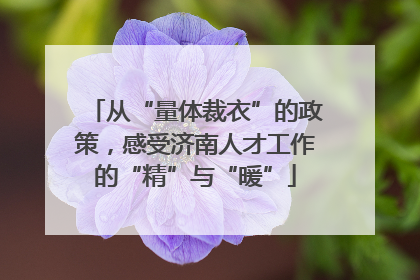从“量体裁衣”的政策，感受济南人才工作的“精”与“暖”