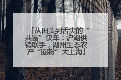 从田头到舌尖的“共富”快车：沪湖供销联手，湖州生态农产“圈粉”大上海