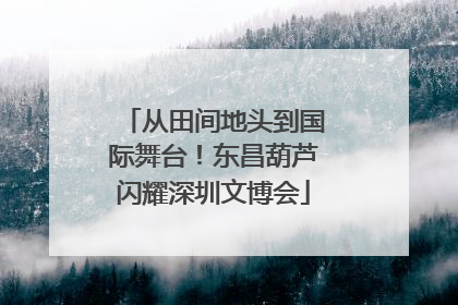 从田间地头到国际舞台！东昌葫芦闪耀深圳文博会