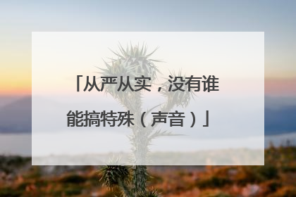 从严从实，没有谁能搞特殊（声音）