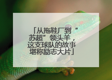 从拖鞋厂到“苏超”领头羊，这支球队的故事堪称励志大片