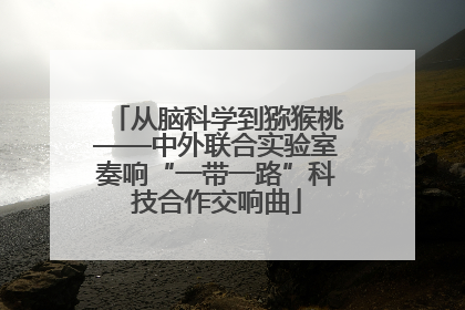 从脑科学到猕猴桃——中外联合实验室奏响“一带一路”科技合作交响曲