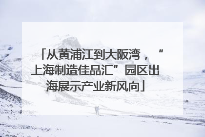 从黄浦江到大阪湾，“上海制造佳品汇”园区出海展示产业新风向