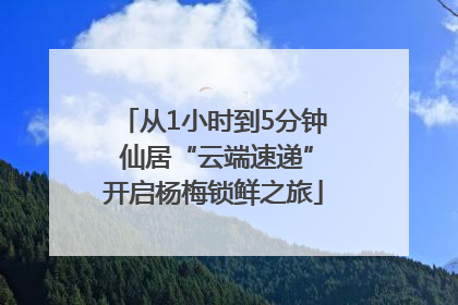从1小时到5分钟 仙居“云端速递”开启杨梅锁鲜之旅
