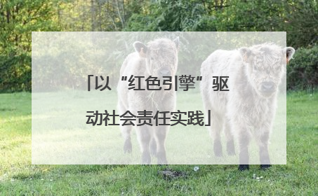 以“红色引擎”驱动社会责任实践