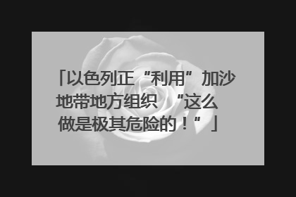 以色列正“利用”加沙地带地方组织  “这么做是极其危险的！”