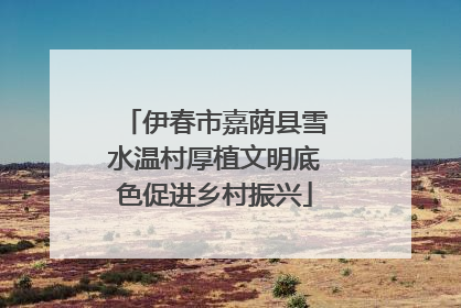 伊春市嘉荫县雪水温村厚植文明底色促进乡村振兴