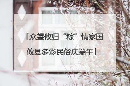 众望攸归“粽”情家国 攸县多彩民俗庆端午