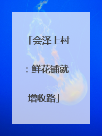 会泽上村：鲜花铺就增收路