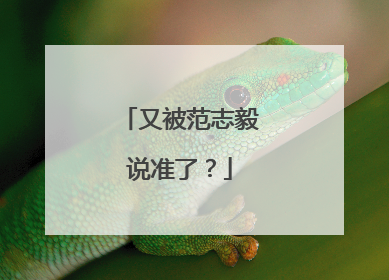 又被范志毅说准了？