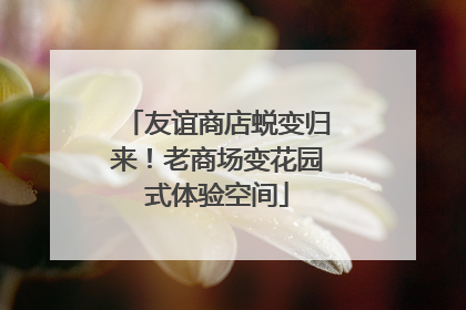 友谊商店蜕变归来！老商场变花园式体验空间