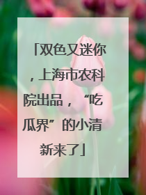 双色又迷你，上海市农科院出品，“吃瓜界”的小清新来了