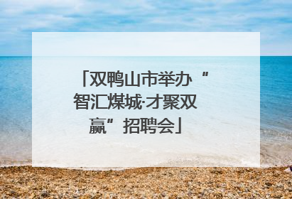 双鸭山市举办“智汇煤城·才聚双赢”招聘会