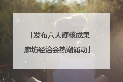 发布六大硬核成果 廊坊经洽会热潮涌动