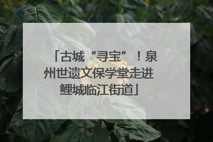 古城“寻宝”！泉州世遗文保学堂走进鲤城临江街道