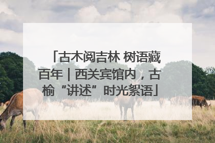 古木阅吉林 树语藏百年｜西关宾馆内，古榆“讲述”时光絮语