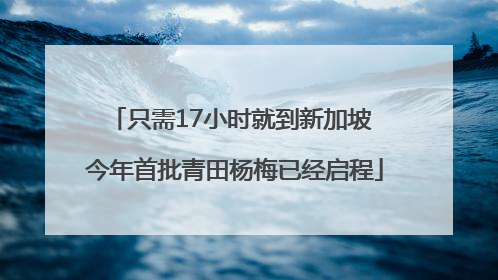 只需17小时就到新加坡 今年首批青田杨梅已经启程