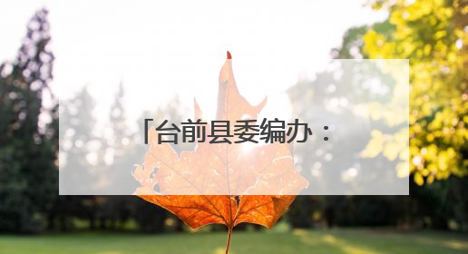 台前县委编办：“小设施”护航“大民生” 保障村民出行安全