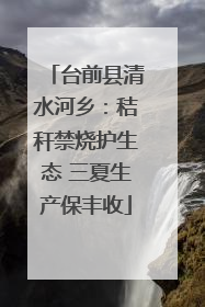 台前县清水河乡：秸秆禁烧护生态 三夏生产保丰收