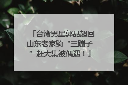 台湾男星郭品超回山东老家骑“三蹦子”赶大集被偶遇！