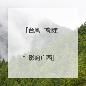 台风“蝴蝶”影响广西
