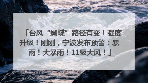 台风“蝴蝶”路径有变！强度升级！刚刚，宁波发布预警：暴雨！大暴雨！11级大风！