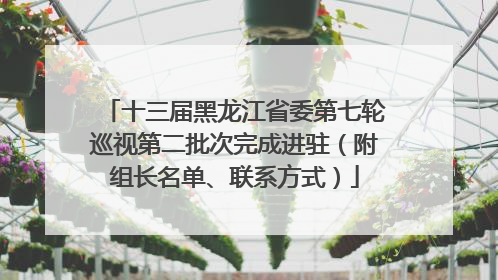 十三届黑龙江省委第七轮巡视第二批次完成进驻（附组长名单、联系方式）
