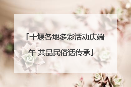十堰各地多彩活动庆端午 共品民俗话传承