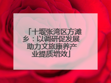 十堰张湾区方滩乡：以调研促发展 助力文旅康养产业提质增效