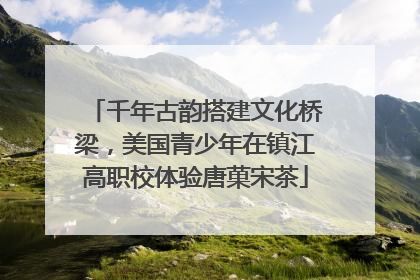 千年古韵搭建文化桥梁，美国青少年在镇江高职校体验唐菓宋茶