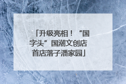 升级亮相！“国字头”国潮文创店首店落子潘家园