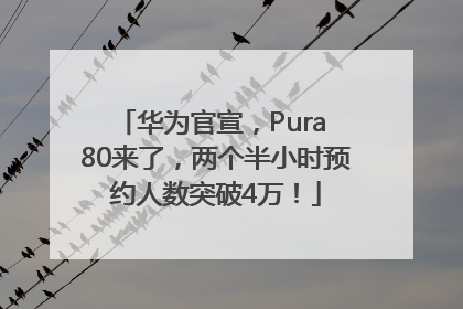 华为官宣，Pura 80来了，两个半小时预约人数突破4万！