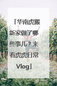华南虎搬新家做了哪些事儿？来看虎虎日常Vlog