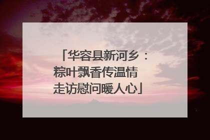 华容县新河乡：粽叶飘香传温情 走访慰问暖人心