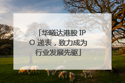 华曦达港股 IPO 递表，致力成为行业发展先驱