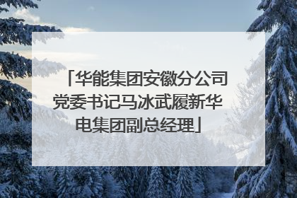 华能集团安徽分公司党委书记马冰武履新华电集团副总经理