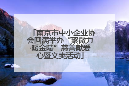 南京市中小企业协会圆满举办“聚微力·暖金陵”慈善献爱心暨义卖活动