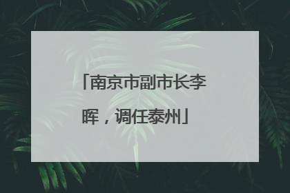 南京市副市长李晖，调任泰州