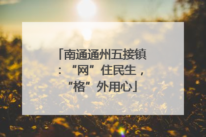 南通通州五接镇：“网”住民生，“格”外用心